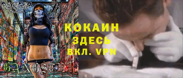 крисы Семилуки
