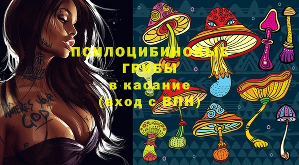 скорость Алексин