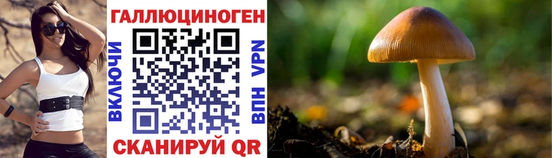 как найти закладки  Ипатово  Псилоцибиновые грибы Cubensis 